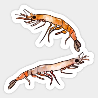 Krill Sticker